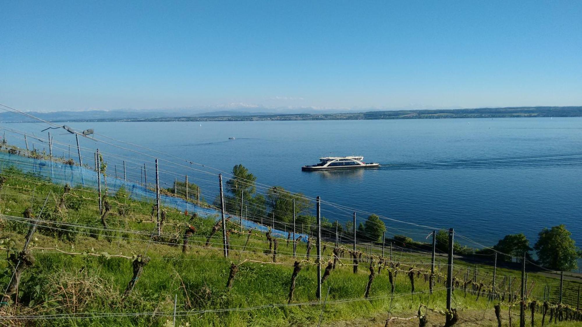 Haus Alexander Apartment Meersburg Luaran gambar