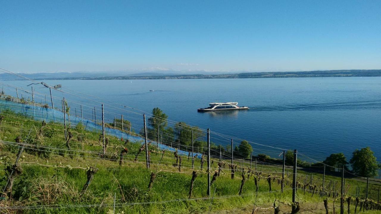 Haus Alexander Apartment Meersburg Luaran gambar